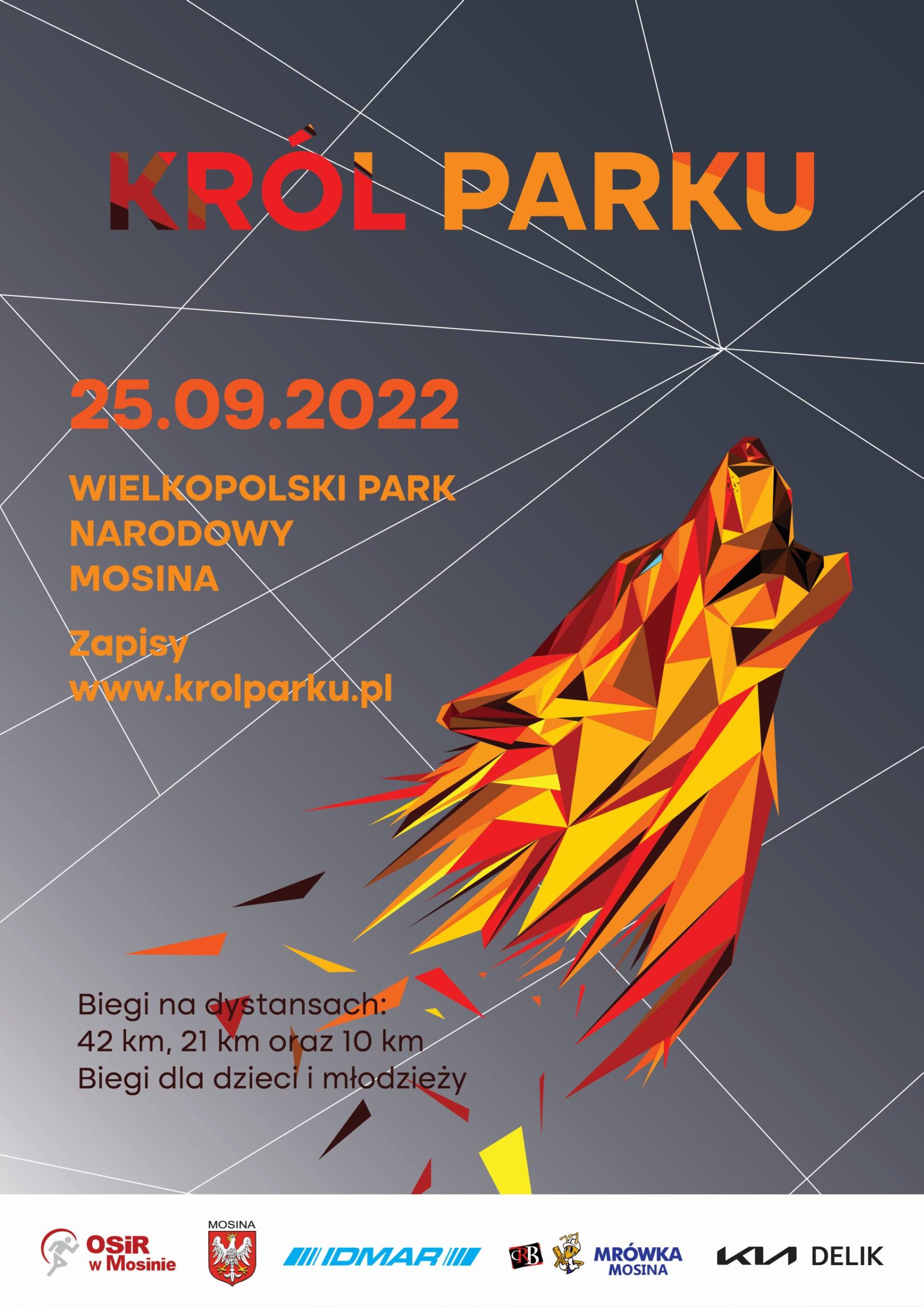 plakat informacyjny dotyczący imprezy biegowej Król Parku